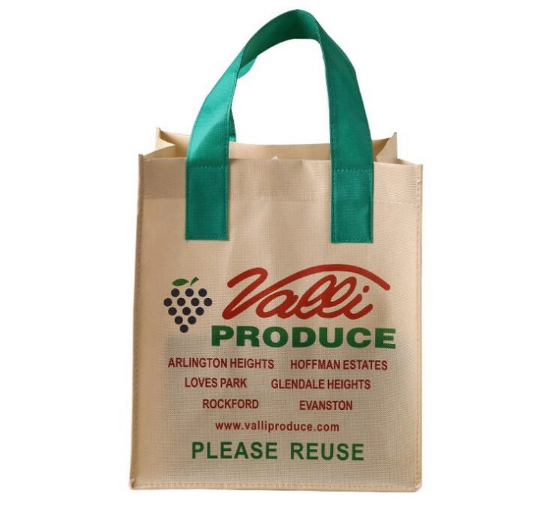 Non-Woven Material Eco Non Woven Shopping Bag with Handle